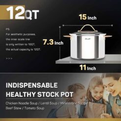 Nồi luộc gà Inox CIWETE vung kính 28cm