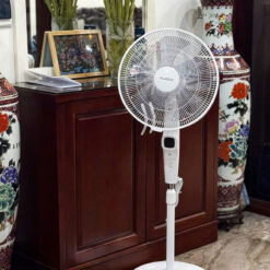 Quạt cây 2Lock nội địa Hàn