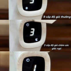 Quạt cây 2Lock nội địa Hàn