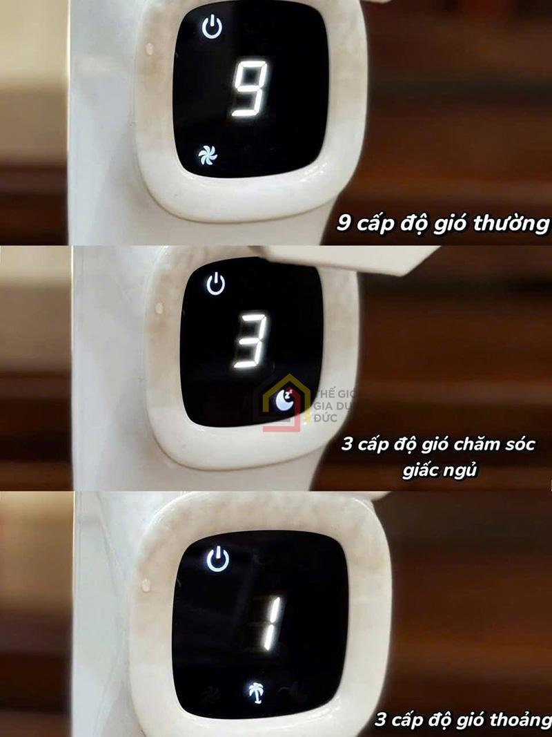 quat-cay-2lock-noi-dia-han14 Quạt cây 2Lock nội địa Hàn