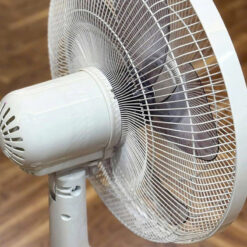 Quạt cây 2Lock nội địa Hàn