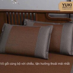 Chiếu mây băng YUKI 2025
