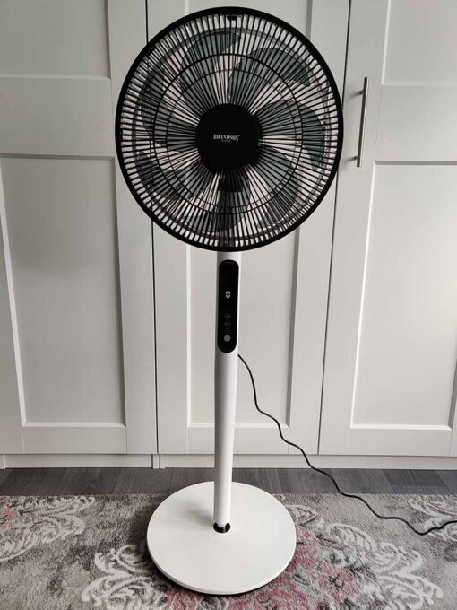 Quạt cây Brandson DC ECO