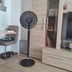 Quạt cây Brandson DC ECO