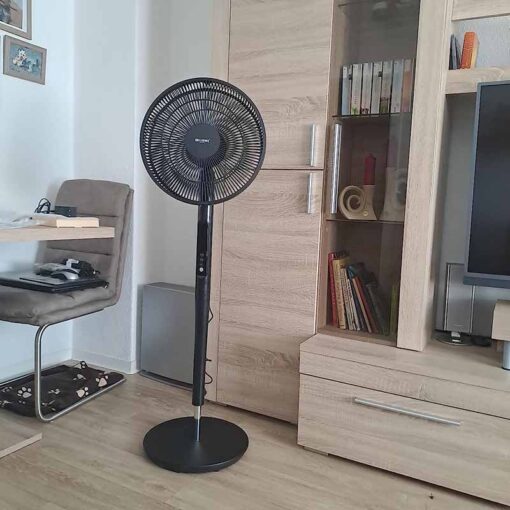 Quạt cây Brandson DC ECO