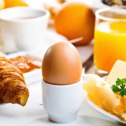 Máy luộc trứng Caso E9 Egg Cooker luộc 8 quả trứng, 400W