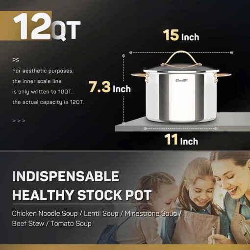 Nồi inox CIWETE Royal Knight vung kính