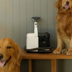 Máy giặt đệm, thảm, sofa Tineco iCarpet Spot