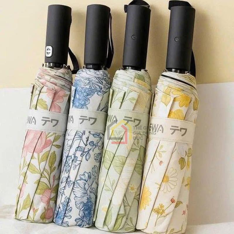 o-tu-dong-voi-24-nan-tewa-japan (1) Ô tự động với 24 nan Tewa Japan