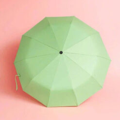 Ô tự động với 24 nan Tewa Japan