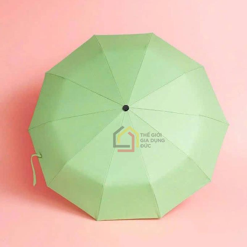 o-tu-dong-voi-24-nan-tewa-japan (12) Ô tự động với 24 nan Tewa Japan