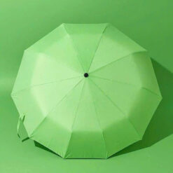 Ô tự động với 24 nan Tewa Japan