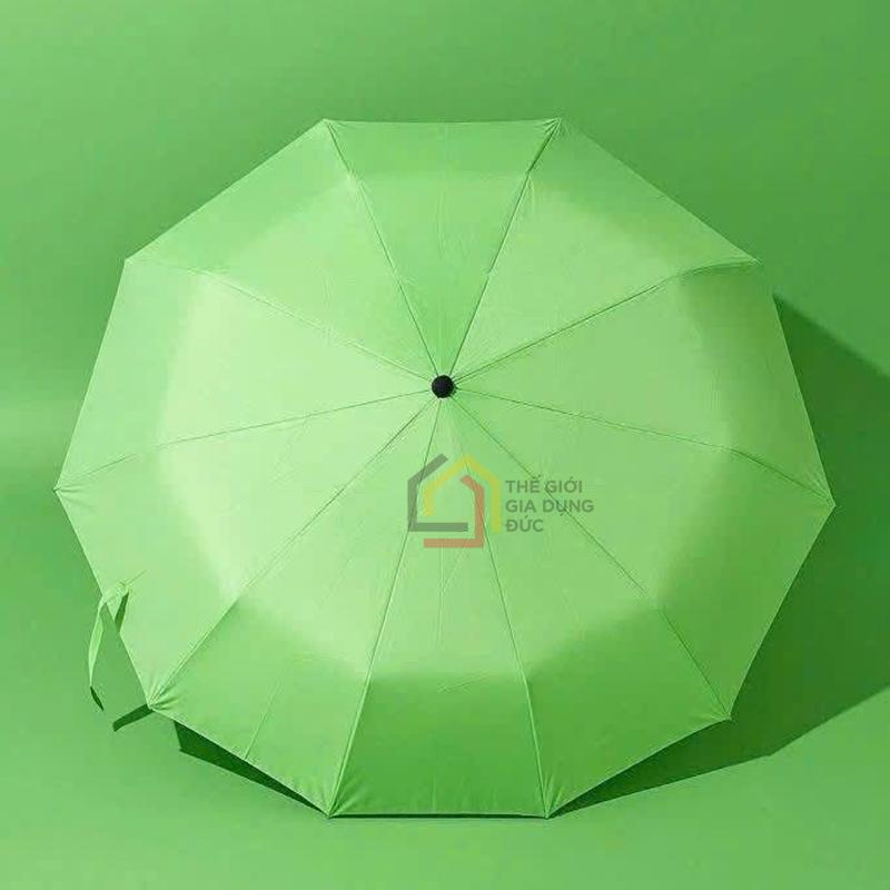 o-tu-dong-voi-24-nan-tewa-japan (13) Ô tự động với 24 nan Tewa Japan