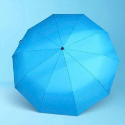 Ô tự động với 24 nan Tewa Japan