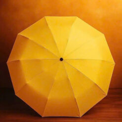 Ô tự động với 24 nan Tewa Japan