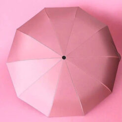 Ô tự động với 24 nan Tewa Japan