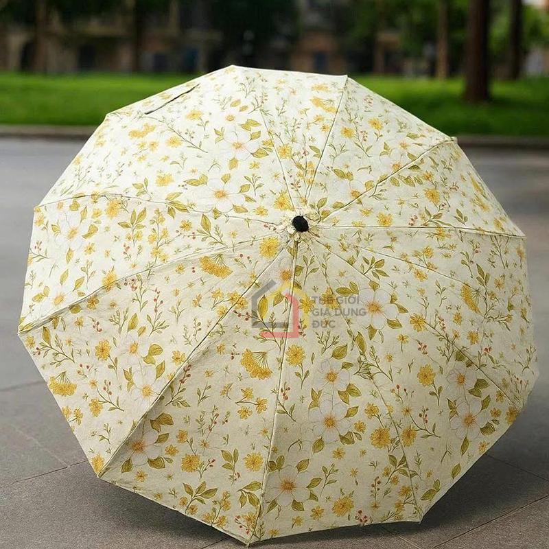 o-tu-dong-voi-24-nan-tewa-japan10 Ô tự động với 24 nan Tewa Japan