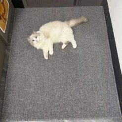 Thảm nhà tắm IKEA 50x70cm - mẫu 2025