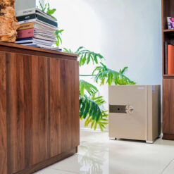 Két sắt nhập khẩu thông minh Philips SBX202-5C0