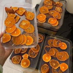 Máy sấy hoa quả CASO DH 450