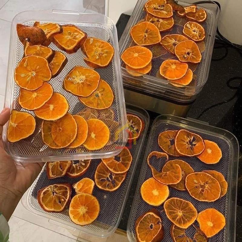 may-say-hoa-qua-caso-dh-450 (13) Máy sấy hoa quả CASO DH 450