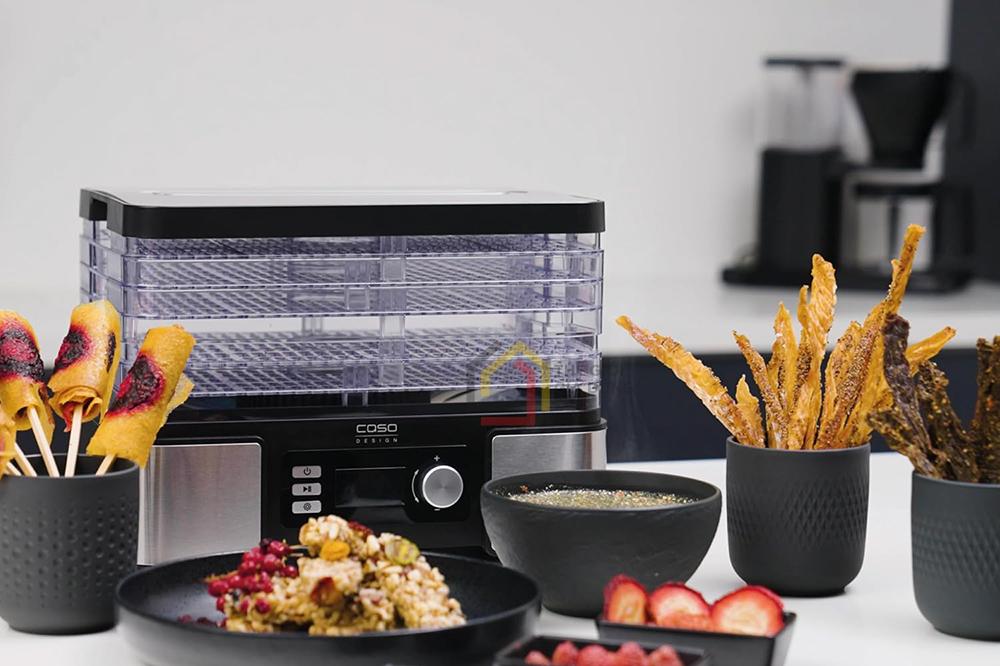 Máy sấy hoa quả CASO DH 450