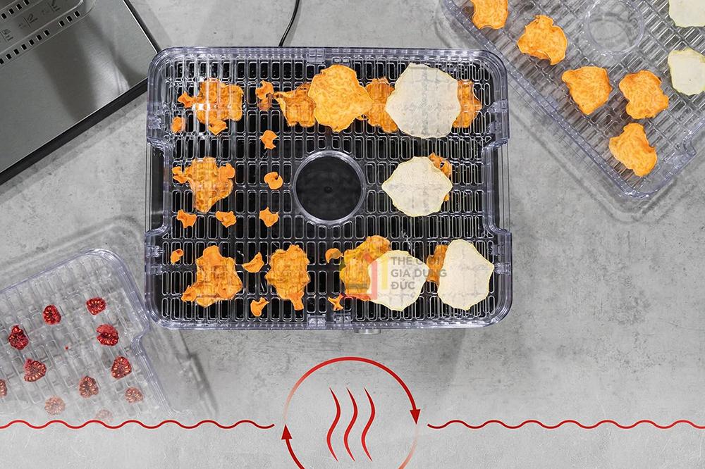 Máy sấy hoa quả CASO DH 450