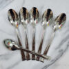 Set 6 thìa cafe Villeroy & Boch 14,5cm