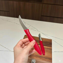 Set 2 dao gọt hoa quả WMF