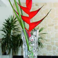 Lọ hoa pha lê Nachtmann Sculpture 101982 cao 33cm
