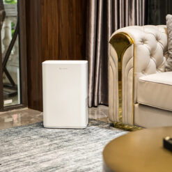 Máy hút ẩm Lumias D6S-12L