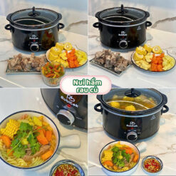 Nồi nấu chậm Robitek RB3000 3L