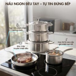 Bộ nồi Elegant Phoenix-01 5 món