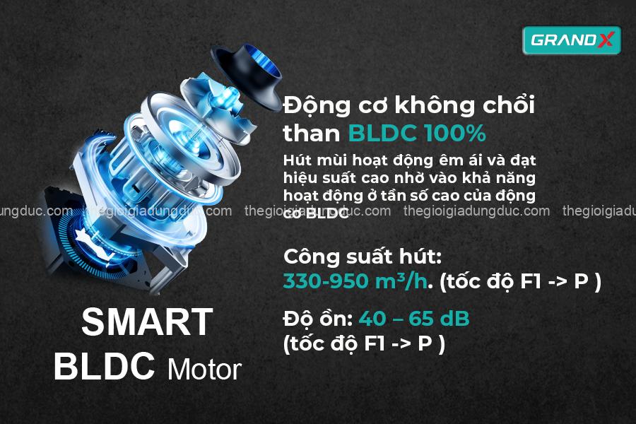 Máy hút mùi Grand X GX H70F75SB