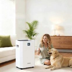Máy hút ẩm Steiger STG-855DW 55L/ngày