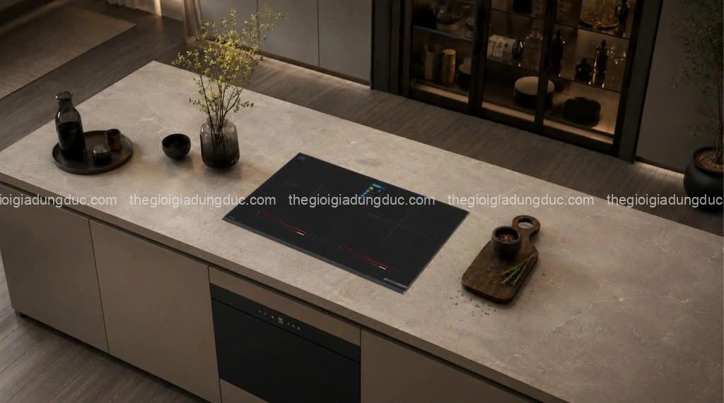 Bếp từ đôi Steiger STG-IDK258DE