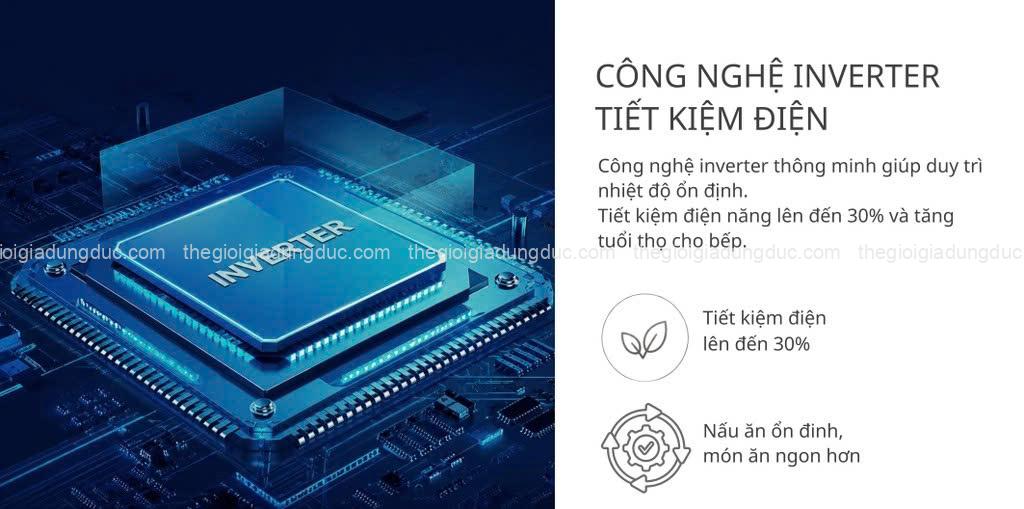 Bếp từ đôi Steiger STG-IDK258DE