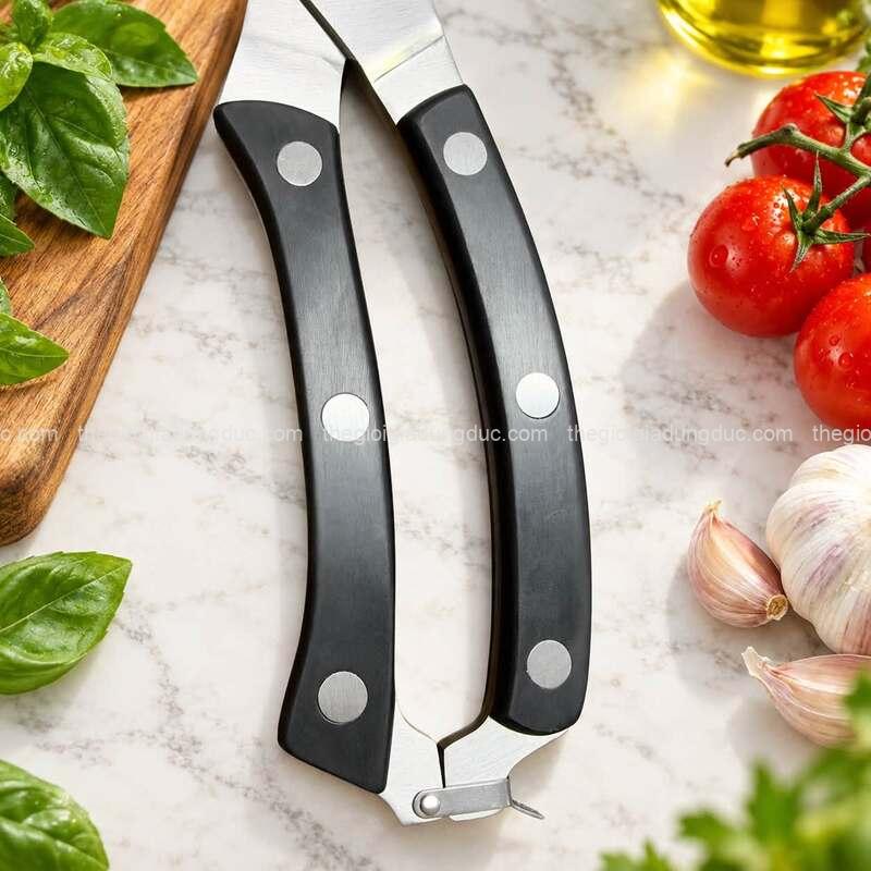 Kéo cắt gà Michelangelo 25cm