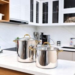 Nồi luộc gà Michelangelo 28cm và 30cm quai vàng