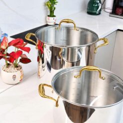 Nồi luộc gà Michelangelo 28cm và 30cm quai vàng